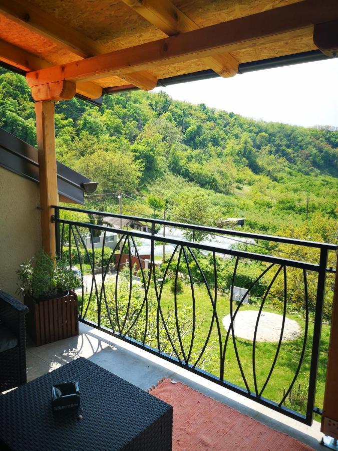Apartman Snezana Jugovo Smederevo Extérieur photo