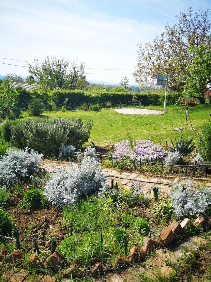 Apartman Snezana Jugovo Smederevo Extérieur photo
