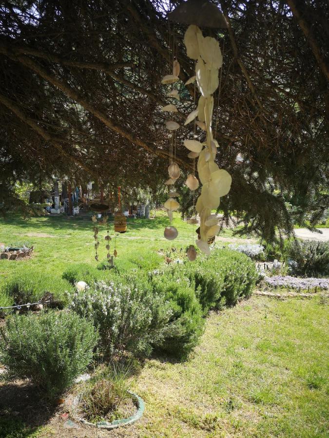 Apartman Snezana Jugovo Smederevo Extérieur photo
